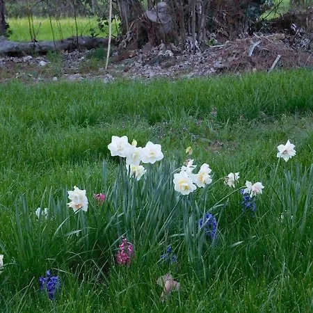 Grand Mas, 32 Hectares, Nature Et Retrouvailles Mirepoix (Gers)