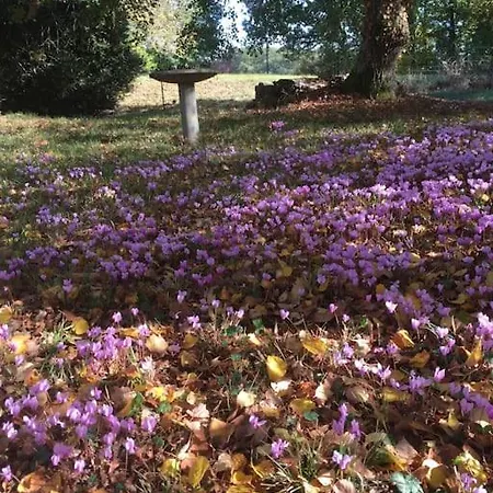 Grand Mas, 32 Hectares, Nature Et Retrouvailles *