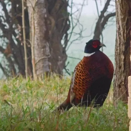 Ferienhaus Grand Mas, 32 Hectares, Nature Et Retrouvailles