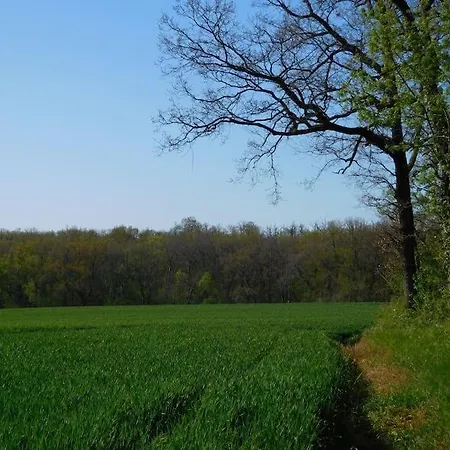 Grand Mas, 32 Hectares, Nature Et Retrouvailles * Mirepoix (Gers)