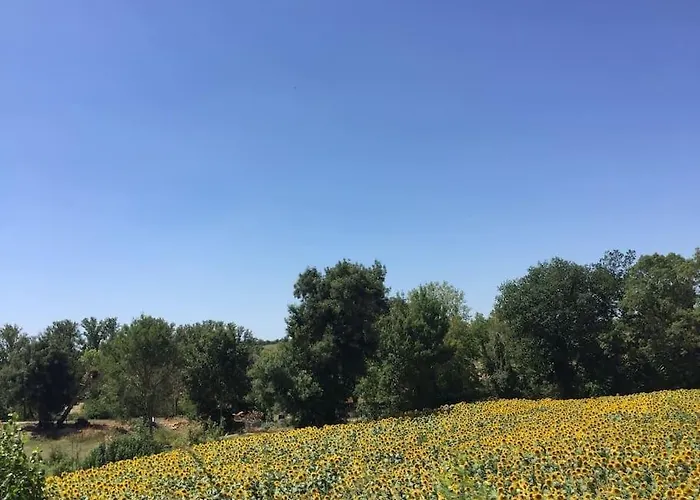 Grand Mas, 32 Hectares, Nature Et Retrouvailles *