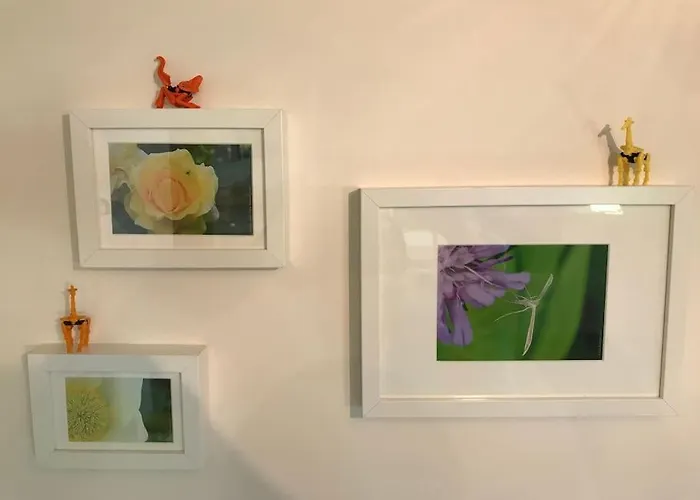 Grand Mas, 32 Hectares, Nature Et Retrouvailles Semesterbostad