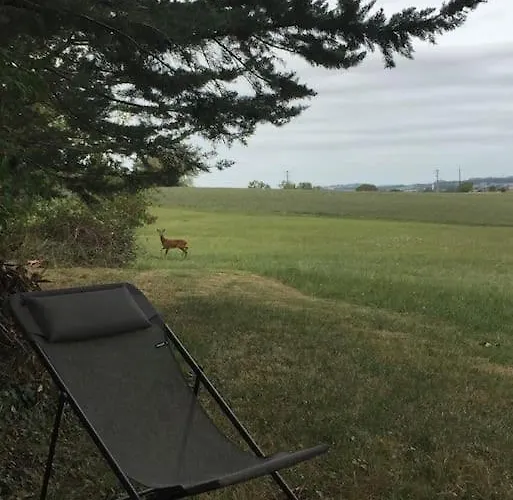 Semesterbostad Grand Mas, 32 Hectares, Nature Et Retrouvailles Mirepoix (Gers)