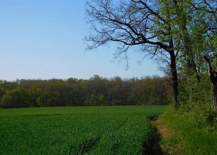 Grand Mas, 32 Hectares, Nature Et Retrouvailles * Mirepoix (Gers)